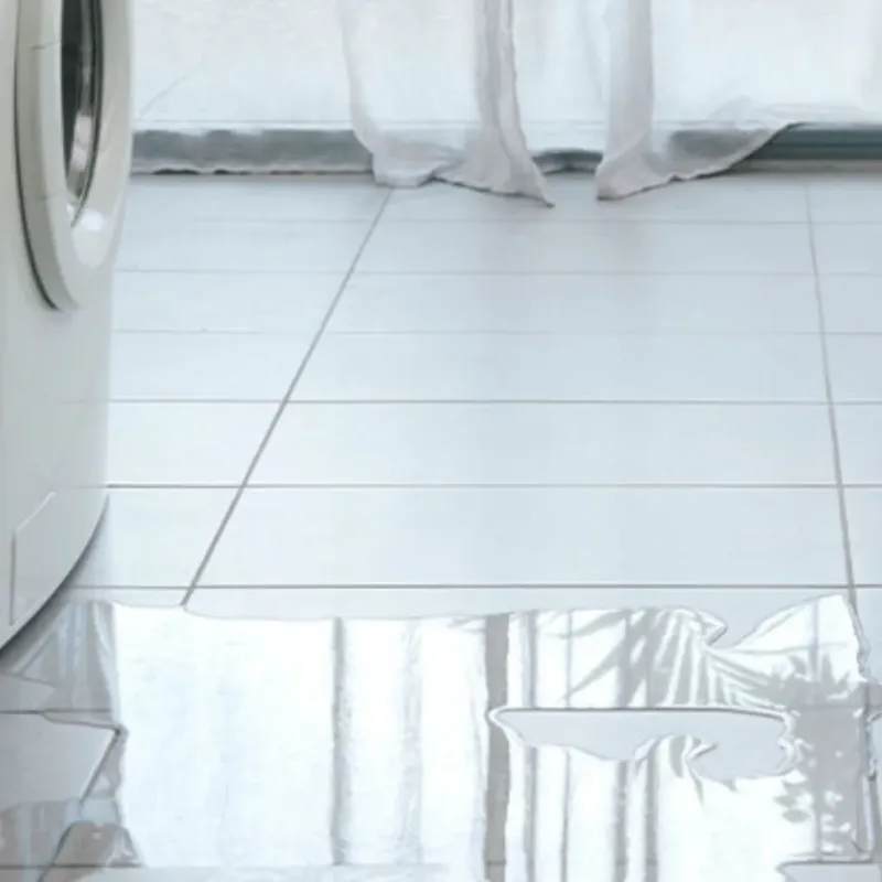 Appliance Leak Cleanup in Independence, WI