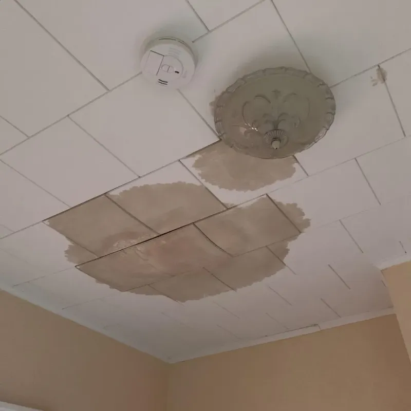Ceiling Water Damage Repair in Independence, WI
