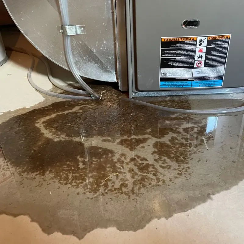 Pipe Burst and Leak Restoration in Independence, WI