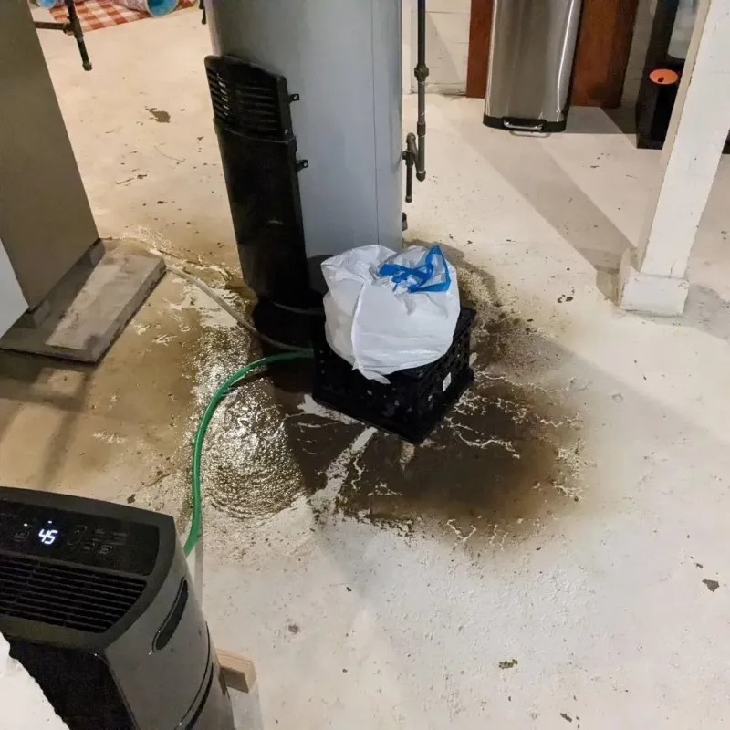 Sewage Backup Cleanup Service in Independence, WI